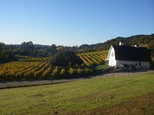 Running Rabbit Ranch & Vineyard Barn