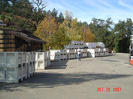 Syrah harvest at Running Rabbit Ranch