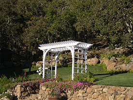 wedding arch