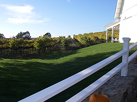 vineyard lawn