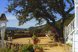 romantic setting