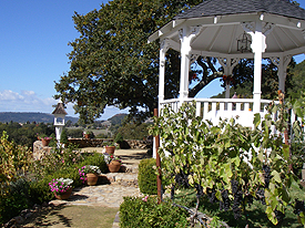 gazebo