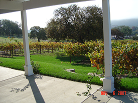 patio view