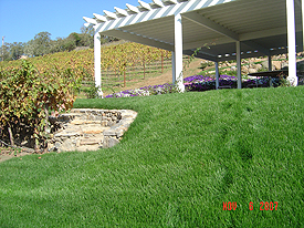 patio lawn