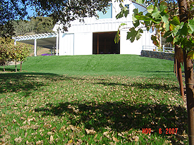 oak tree view of barn