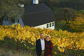 Wilson Vineyard