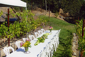 private dinner party