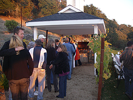 sunset dinner party
