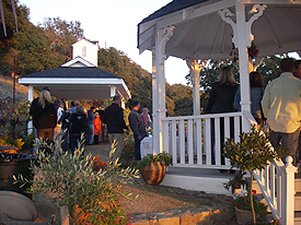 vineyard party