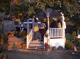 Sonoma vineyard sunset