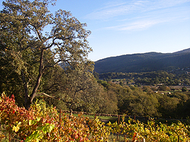 View of Valley of the Moon