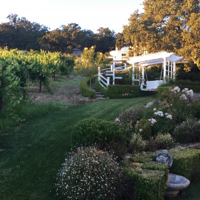 Garden Patio View