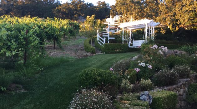 Garden Patio View