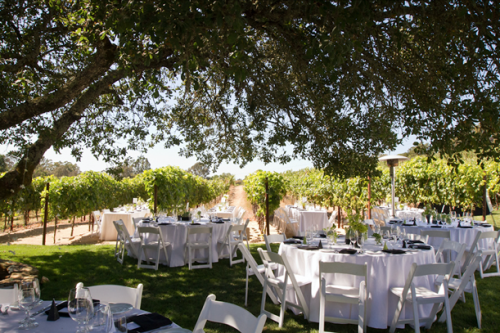 Dining Among the Vines